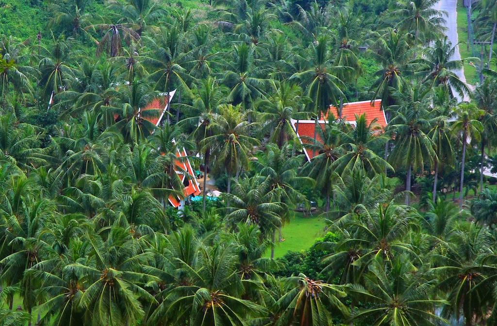 Coco Palace Resort Nai Harn Zewnętrze zdjęcie